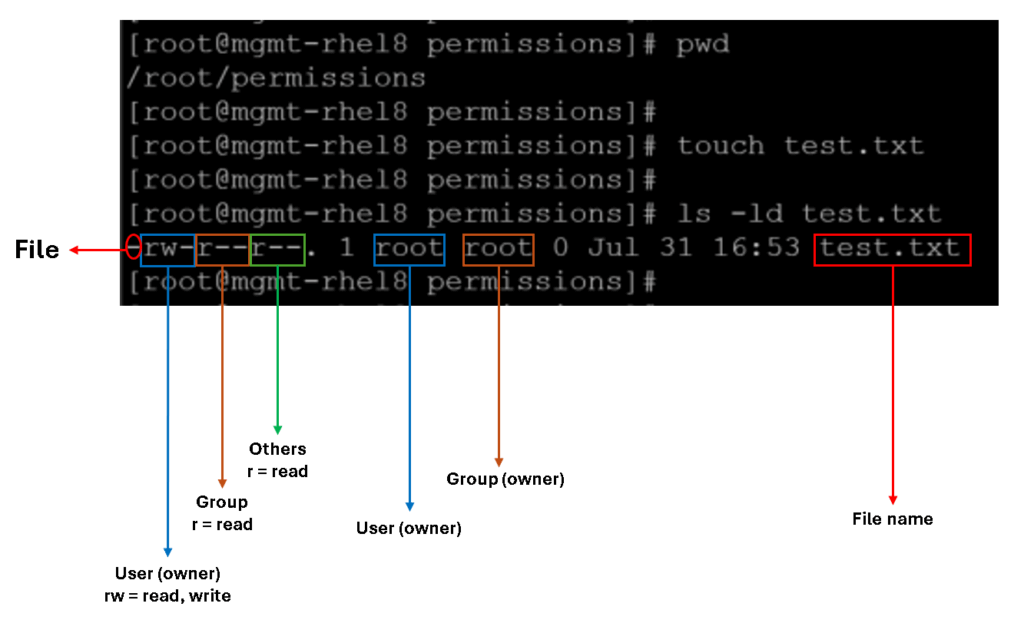 Overview of Linux Permissions on RHEL 8 - DPC Virtual Tips